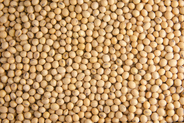 Soybean pattern as for background.