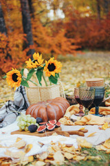 Naklejka na ściany i meble Autumn still life with pumpkin, figs and sunflowers. Picnic on glade