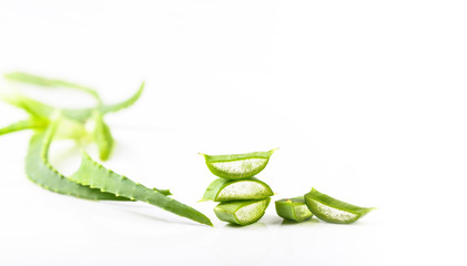 Cut Aloe Vera leaves on white background.