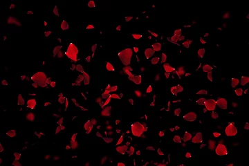 Stoff pro Meter red colorful petals rose flying animation on black background, love and valentine day festive holiday © donfiore