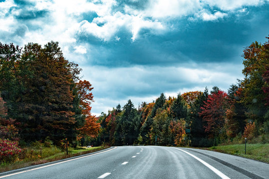 Road and forest in the fall