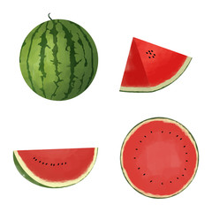 watermelon style watercolor style