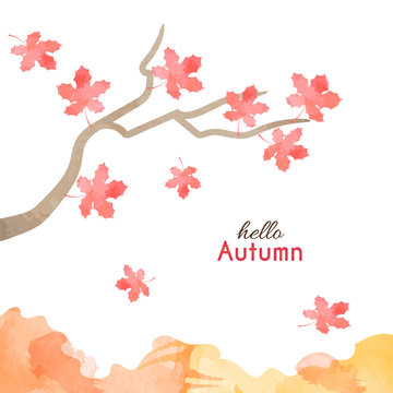 Maple leaves falling from a tree in autumn season