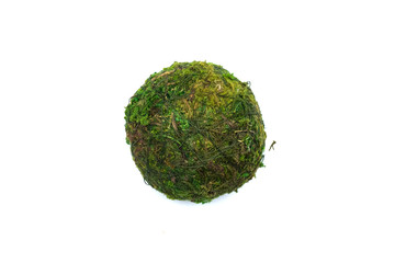 Green moss ball isolated on white background.