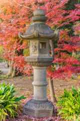 Stone Kasuga lantern under a red maple momiji in the garden of Rikugien in Tokyo in autumn.