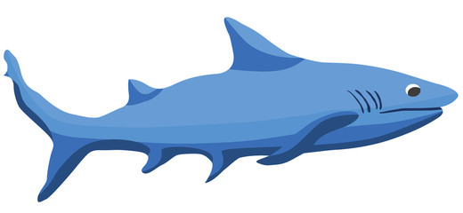 Cartoon blue shark flat illustration