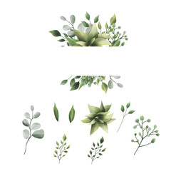 watercolor style leaf collection