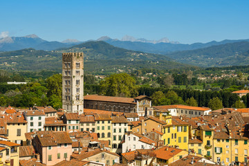Fototapeta na wymiar Elevated city view of the historic centre of the medieval town of Lucca from the Guinigi Tower with the Basilica of Saint Frediano in a sunny summer day, Tuscany, Italy