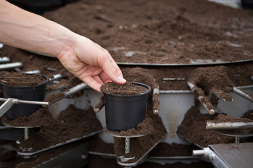 Flower potting machine