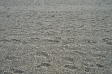 Suelo de playa
