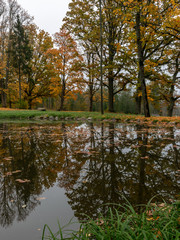 quiet landscape with autumn trees on the water's edge, beautiful reflections