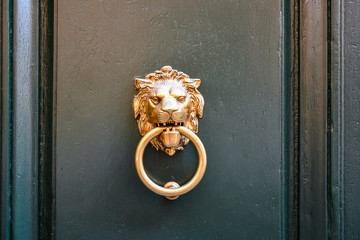 Close-up of a golden metal door knocker representing a lion's head holding a circle between the...
