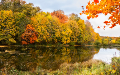 Very nice scenery in the fall. Lake and forest in autumn. Natural colors