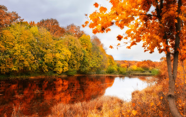 Very nice scenery in the fall. Lake and forest in autumn. Natural colors