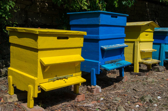 Bee hives in the garden. Beekeeping.