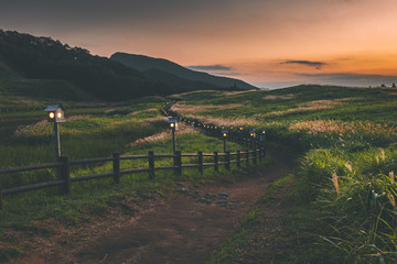 奈良県　曽爾高原のススキと秋の夕景