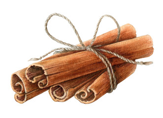 Dried cinnamon sticks  bunch tied with a rope watercolor illustration. Nature raw organic spice from a tree bark. Hand drawn cinnamon pile using in medicine, food and aromatherapy. 