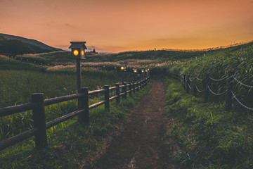 奈良県　曽爾高原のススキと秋の夕景