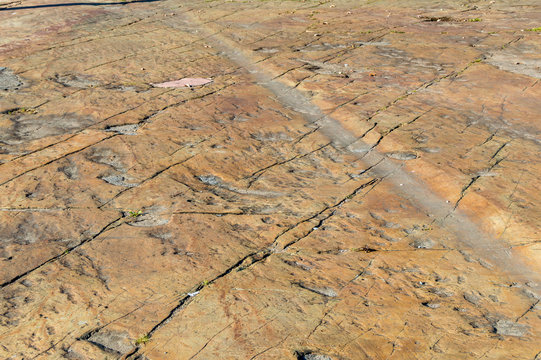 Glacial Striations On Exposed Pre-Cambrian Gneiss