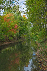 The autumn. The first red foliage. Trees, blue sky and white clouds are reflected in the river. The sunny day.