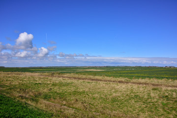 Big Skies and Long Views at Shellness in the Thames Estuary