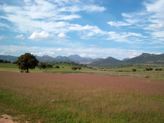 Obraz premium paisajesvnbg