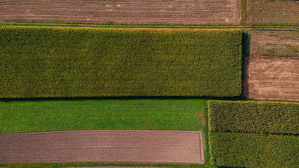 Colorful Pattern of Farming Fields. Top Down Aerial Drone View