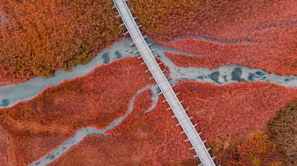 Holzbrücke über herbstliche Wiese. Abstraktes Muster. Drohnenansicht von oben nach unten