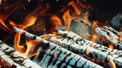 Burning fire wood in the fire