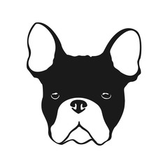 Fototapeta na wymiar French bulldog dog logo. The head of the dog breed French bulldog isolated on a white background.