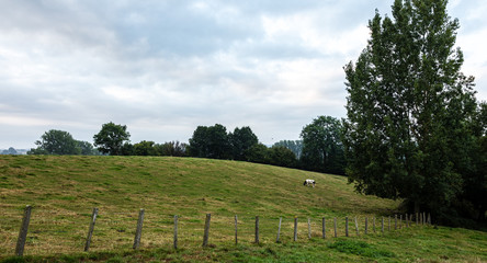 Vue sur la campagne vallonnée