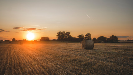 Fototapeta premium sunset leaving field