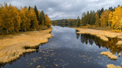 Autumn forest and cloudy sky reflected in the water. Yellow autumn trees near the water. Yellow Birch reflected in clean lake in the forest. Camping by the lake. 