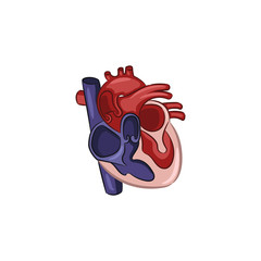 Heart Illustration