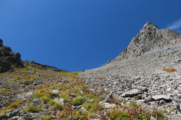 北アルプス　槍沢登山道から槍ヶ岳を仰ぎ見る