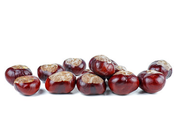 Horse-chestnuts isolated on white background