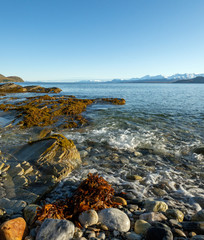 Coast of the Norwegian Sea.Tromso,Oldervik.