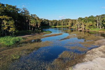 Fototapeta na wymiar Aerial view of Fisheating Creek, Florida.