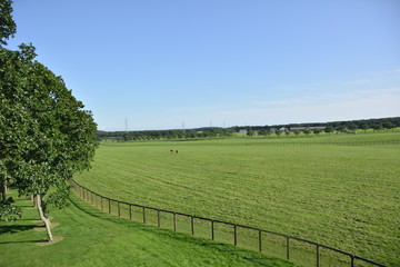 大自然が広がる北の大地