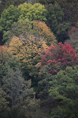 Herbst