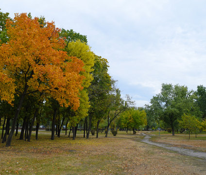 View of the autumn Park in nature.