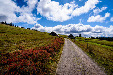 Hiking up to the Feldberg in Germany