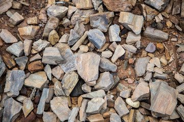 rock on ground in backyard