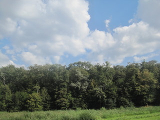 Obraz premium The extraordinary view