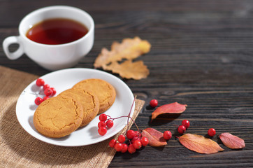 Obraz na płótnie Canvas Oatmeal cookies and tea