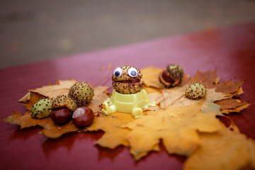 Autumn leaves and chestnut with toy eyes on the table