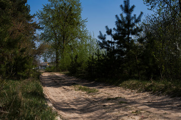 sandy road from the forest to the village