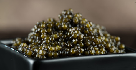 Black Caviar in a bowl. High quality real natural sturgeon black caviar close-up. Delicatessen....
