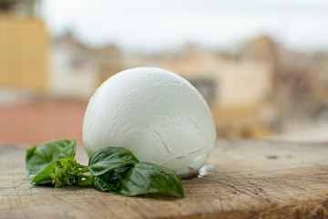Italian mozzarella soft cheese ball served on wooden plank with yellow houses in old Italian town on background
