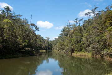 riviere, forêt primaire tropicale, Parc National Andasibé Mantadia, Madagascar